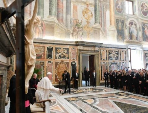 Pope reminds plastic surgeons that true beauty reflects the image of God